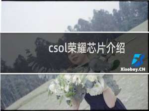 csol荣耀芯片介绍