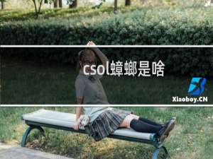 csol蟑螂是啥
