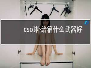 csol补给箱什么武器好