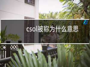 csol被称为什么意思