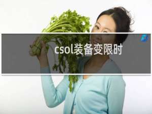 csol装备变限时