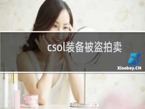csol装备被盗拍卖