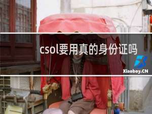 csol要用真的身份证吗