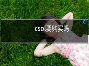 csol要购买吗
