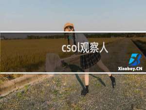 csol观察人