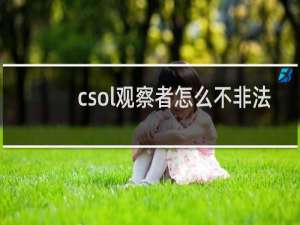 csol观察者怎么不非法