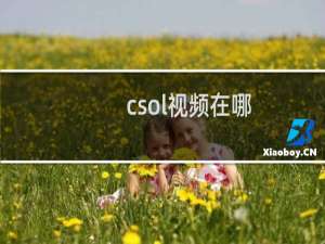 csol视频在哪