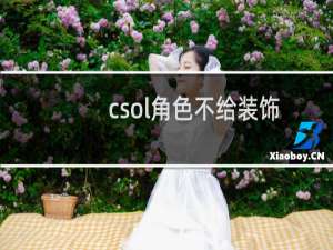 csol角色不给装饰