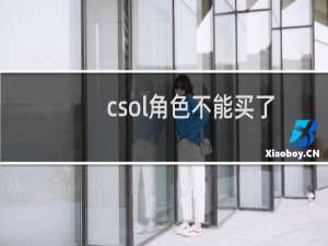 csol角色不能买了