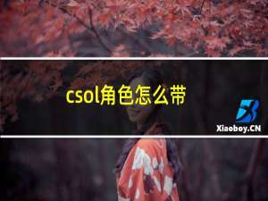 csol角色怎么带