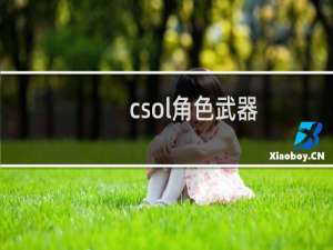csol角色武器