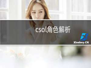 csol角色解析