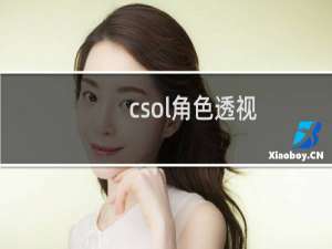csol角色透视