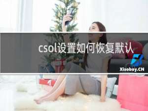 csol设置如何恢复默认