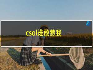 csol谁敢惹我