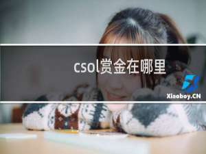 csol赏金在哪里