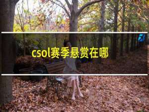 csol赛季悬赏在哪