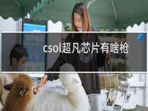 csol超凡芯片有啥枪
