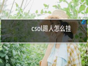 csol踢人怎么挂