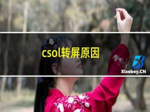 csol转屏原因