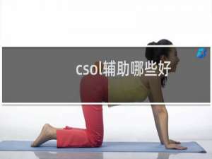 csol辅助哪些好