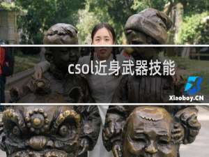 csol近身武器技能
