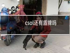 csol还有盾牌吗