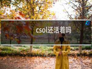 csol还活着吗