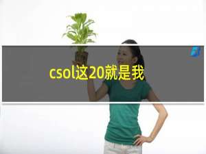 csol这 就是我