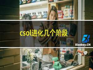 csol进化几个阶段