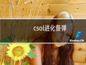 csol进化备弹