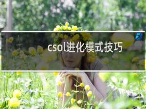 csol进化模式技巧