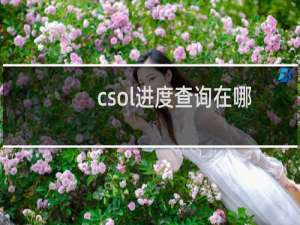 csol进度查询在哪