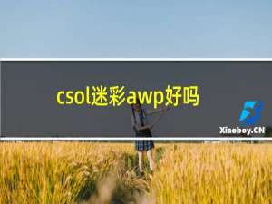 csol迷彩awp好吗