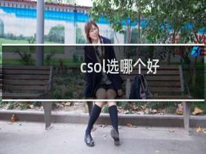 csol选哪个好
