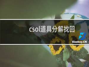 csol道具分解找回