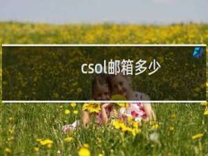 csol邮箱多少