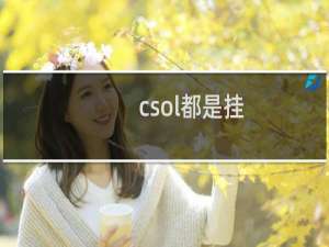 csol都是挂