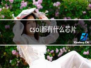 csol都有什么芯片