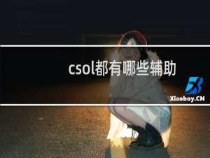 csol都有哪些辅助