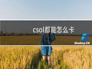 csol都能怎么卡