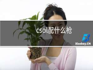 csol配什么枪
