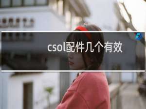 csol配件几个有效