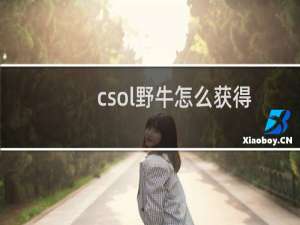 csol野牛怎么获得