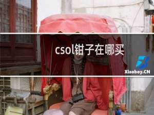 csol钳子在哪买