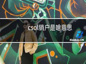 csol销户是啥意思