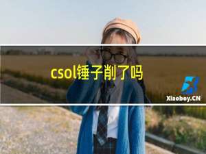 csol锤子削了吗