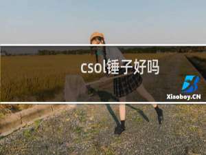 csol锤子好吗