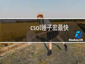 csol锤子宏最快