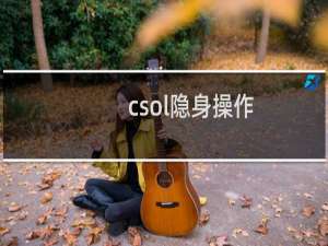 csol隐身操作